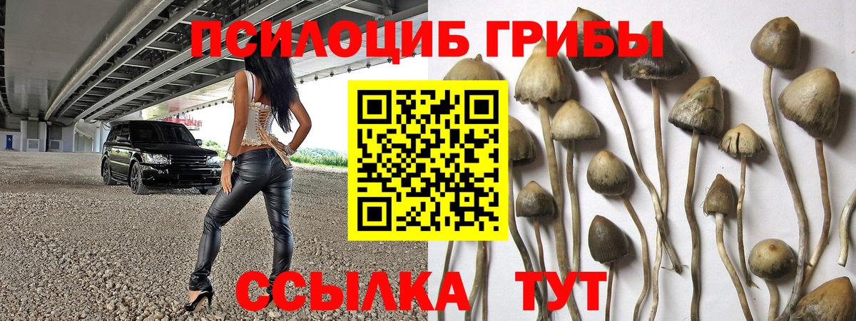 Кыштым  Псилоцибиновые грибы мухоморы  Псилоцибиновые грибы Cubensis  Вход с VPN 