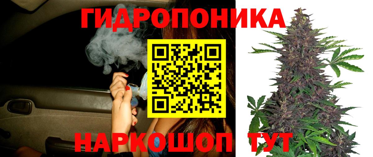 Шишки марихуана индика Кыштым